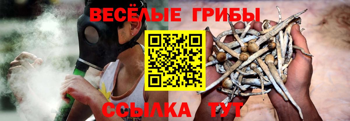 Псилоцибиновые грибы Psilocybine cubensis  Псилоцибиновые грибы мицелий  Зеленодольск  Вход с VPN 